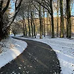 „blattgold“