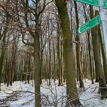 Дом отдыха „blattgold“