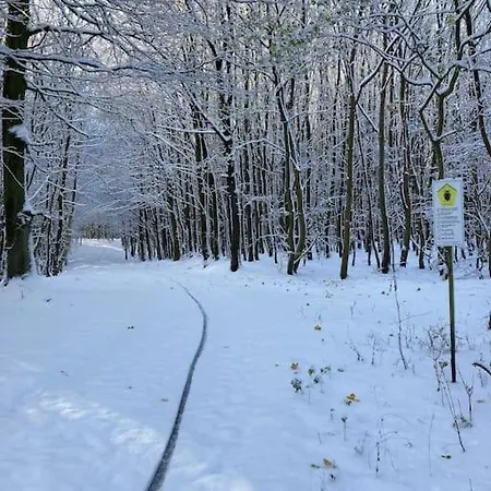 Дом отдыха „blattgold“ *