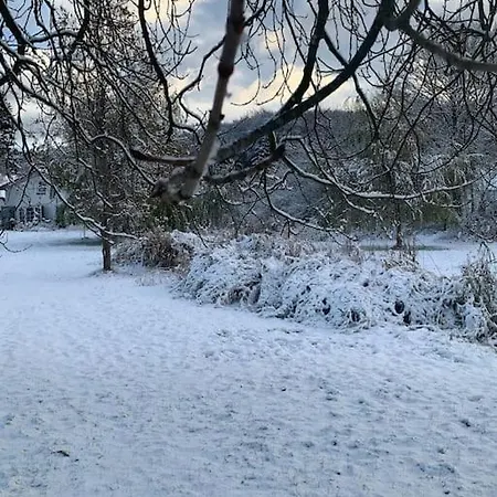 Дом отдыха „blattgold“ *